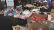 Four Vancouver Organizations Unite to Combat Food Insecurity and Reduce Waste