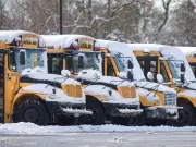 Freezing Rain Cancels School Buses in Wheatley, Tilbury Zones