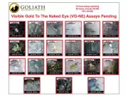 Goliath Reports High-Grade Gold Hits Up To 7.28 g/t Over 8 Meters at BC's Surebet Discovery