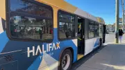 Halifax Transit Resolves Communications Glitch, Confirms No Service Disruption