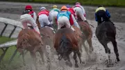Hastings Racecourse Suspends Live Horse Racing in Vancouver Effective Immediately