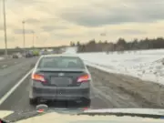 Kanata driver fined $110 for using HOV lane with cat as passenger