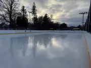 Lions Park Hockey Rink in Newmarket Opens for Winter Season