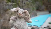 Lost Stuffed Bunny 'Bunff' Tours Rockies, Shares Safety Tips as Parks Canada Seeks Owner