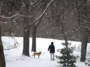 Montreal's Deep Freeze Eases as Final 2025 Supermoon Rises