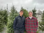 Nova Scotia Christmas Tree Sales See Festive Surge in 2025