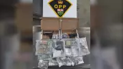OPP Seizes Drugs, Guns, and Money in London, Ont. Raid, One Charged