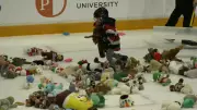 Ottawa 67's Teddy Bear Toss 2024: Fans Rain Stuffed Animals for Charity