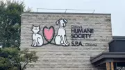 Ottawa Humane Society Seeks Holiday Pet Food Donations for Animals in Care