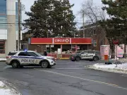 Ottawa Man Arrested in Vanier Hit-and-Run That Left Pedestrian Critically Injured