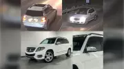 Police Hunt Driver of White Mercedes SUV in St. Catharines Hit-and-Run