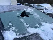 Quebec Woman's Car Rear Window Shatters Spontaneously on Cold Morning