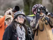 Rare Taiga Flycatcher Spotted in Vancouver for First Time in Canada