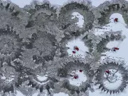 Rideau Canal Skateway Ice-Building Begins, But Warming Temperatures Loom