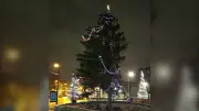 Sarnia Defends City Hall Christmas Tree After Social Media Criticism