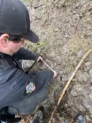 Search Ends for Grizzly That Attacked B.C. School Group in Bella Coola