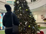 Surrey Families Rely on School Aid to Survive Amid Housing Crisis