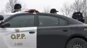 Tiny Township Man Flees Scene After Alleged Vehicle Crash, OPP Investigate