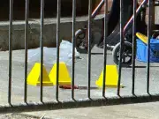 Toronto Police Hailed as Heroes After Shooting Suspect in North York Stabbing