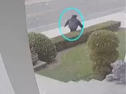 Trump Halts Green Card Lottery After Brown, MIT Shooting Suspect Linked to Program