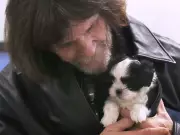 Windsor-Essex Humane Society Launches Free Mobile Vet Clinics After Parvovirus Deaths