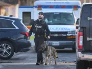Windsor Police Resolve Barricaded Individual Incident on Byng Road