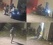 Wine Theft at Niagara College: Police Hunt for Suspect in Storage Facility Heist