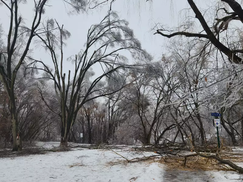 Freezing Rain Alert Hits Barrie as Snowfall Warning Ends: Environment Canada