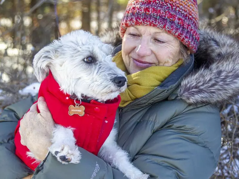 Ottawa's 'Dog Inclusivity' Rule Sparks Debate Over Small Dog Safety in Parks