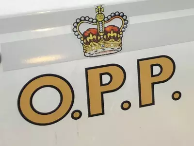 25-Year-Old Carleton Place Man Charged with Sexual Assault, Assault in IPV Case