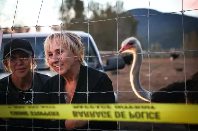 B.C. Ostrich Farm Fined $10K for Failing to Report Sick Birds, Tribunal Upholds Penalty