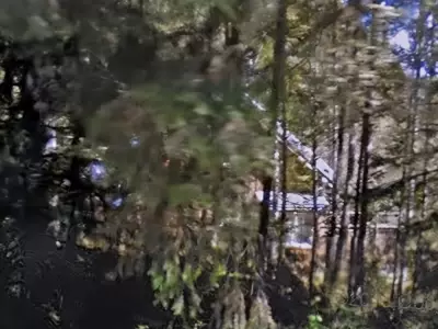 B.C. Woman to Explain Source of $1M for Salt Spring Home in Alleged Fraud Case