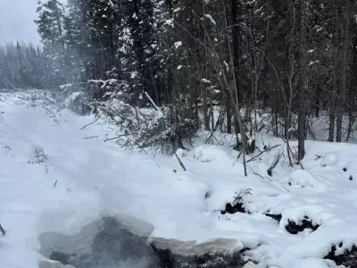 B.C.'s Zombie Wildfires Burn Through Winter, Trump Exits UN Climate Bodies