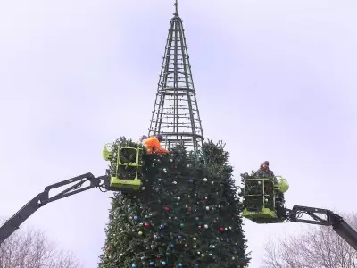 Bright Lights Windsor Draws Over 105,000 Visitors for 2025-2026 Festival