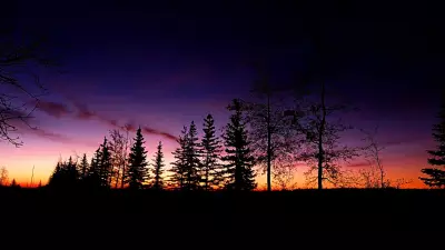 Calgary Braces for Weekend Snow and Cold Snap, While Alberta Retail Sales Surge