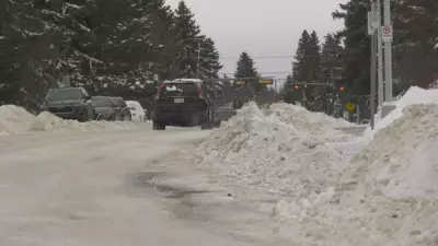 Edmonton Snow Clearing: Only 10% Comply with Parking Ban, Committee Hears