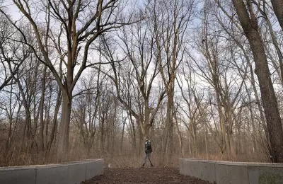 ERCA Launches 12-Week Invasive Species Removal in Windsor's Ojibway National Urban Park