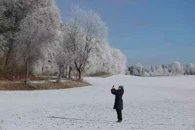 Exploding Trees: The Winter Phenomenon Explained and Its Surprising Science