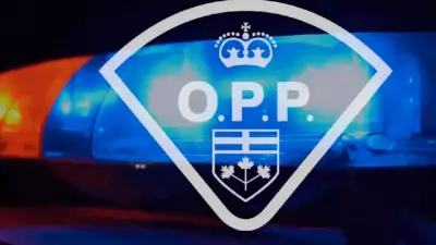 Fatal Crash Near Tillsonburg Claims Life of London Resident, OPP Investigates