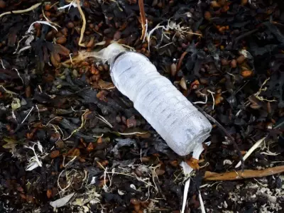 Federal Government Scraps Single-Use Plastic Export Ban, Citing Economic Pressure