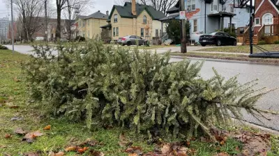 Final Week for Christmas Tree Curbside Pickup in Kitchener: Key Dates and Tips