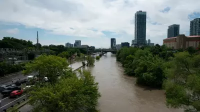 Fish Return to Toronto's Don River, Signaling Ecological Recovery