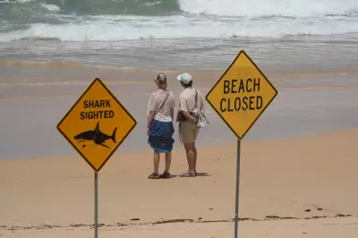 Fourth Shark Attack in 72 Hours Strikes Australia's East Coast