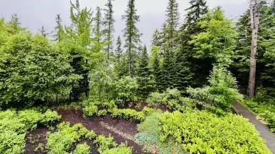 Fredericton Approves Seasonal Off-Leash Dog Trail at Killarney Lake Park