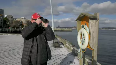 Halifax Man Finds Solace in Waterfront Walks, Creates Photography Project After Dog's Death
