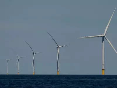 JPMorgan, Brookfield Predict 2026 M&A Surge for Clean Energy Assets