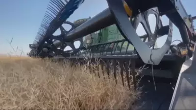 Lethbridge Polytechnic Secures 20-Year Research Farm Lease Renewal with Alberta Government