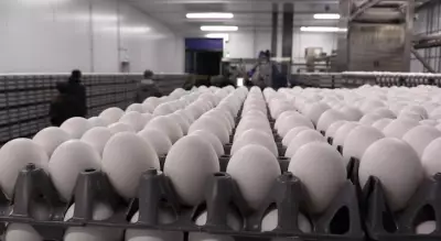 Listowel's Gray Ridge Farms Opens Canada's Largest Egg Grading Facility