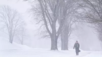 Major Snowstorm Hits Atlantic Canada: Warnings for Nova Scotia and P.E.I.