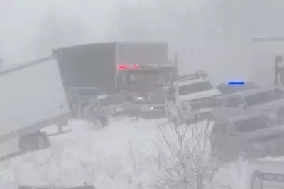 Massive 100-Vehicle Pileup in Michigan as Winter Storm Pounds U.S. and Canada